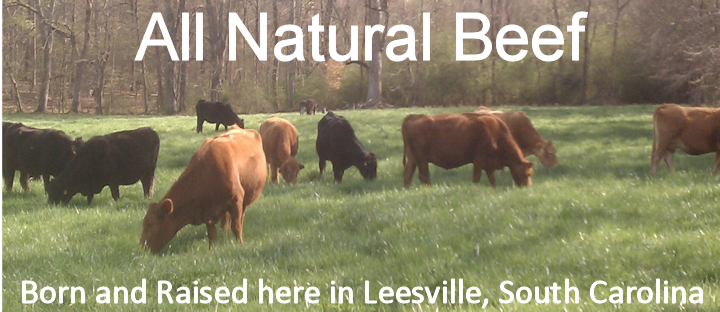 All Natural Beef